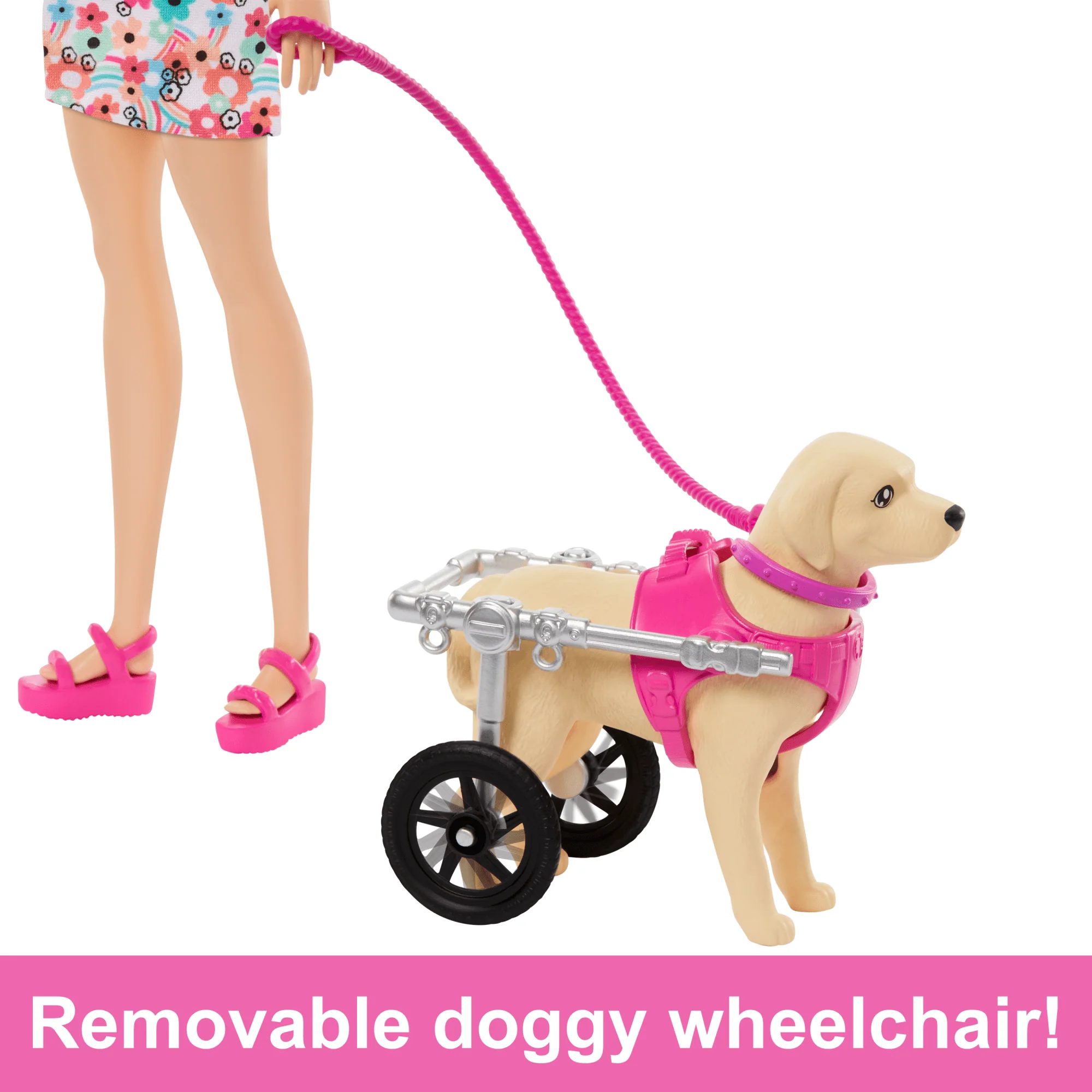 Barbie Doll With A Toy Pup And Dog in A Wheelchair, Plus Pet Accessories - Image 2