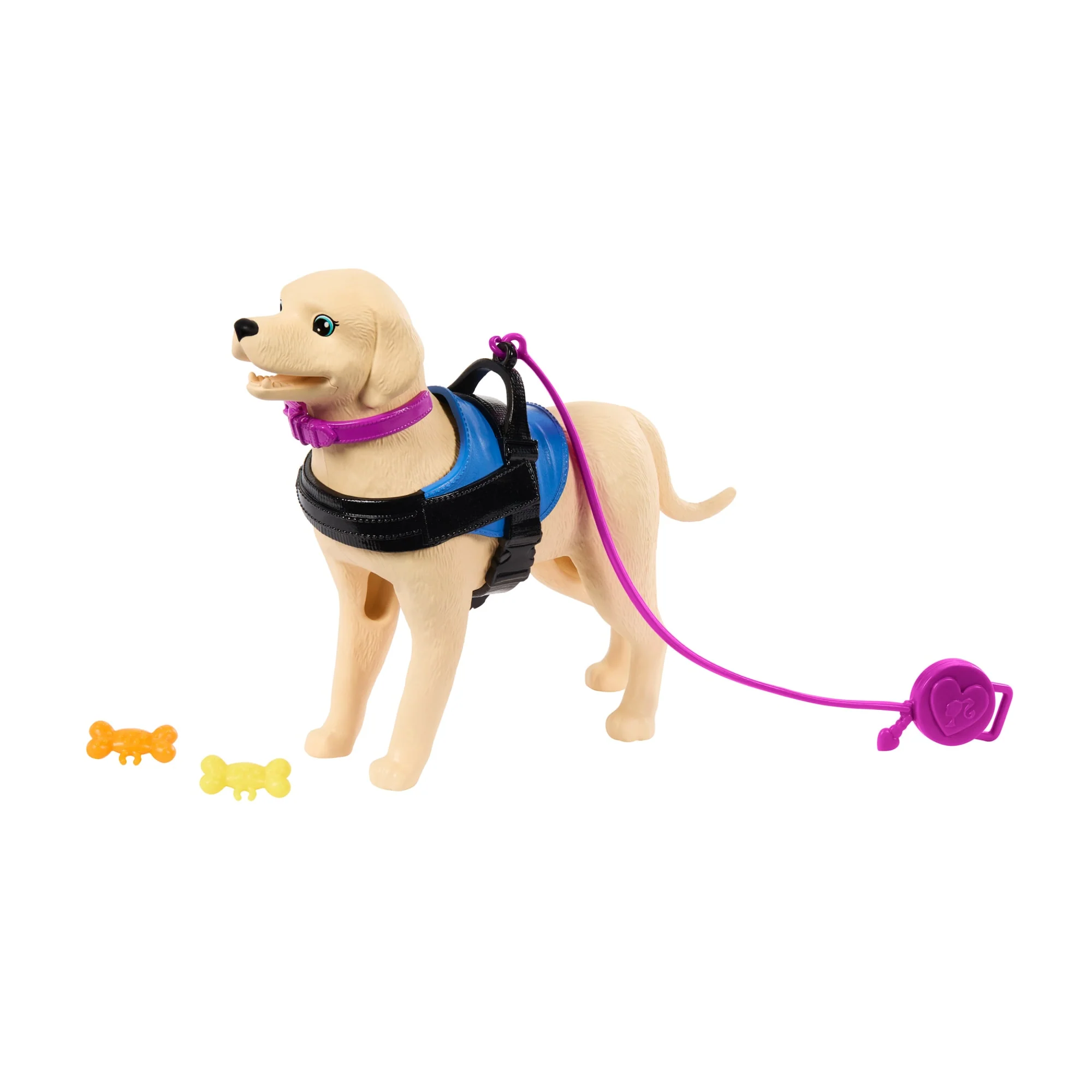Barbie Doll & Service Dog Playset With Wheelchair, Ramp & Accessories, Brunette Fashion Doll - Image 5