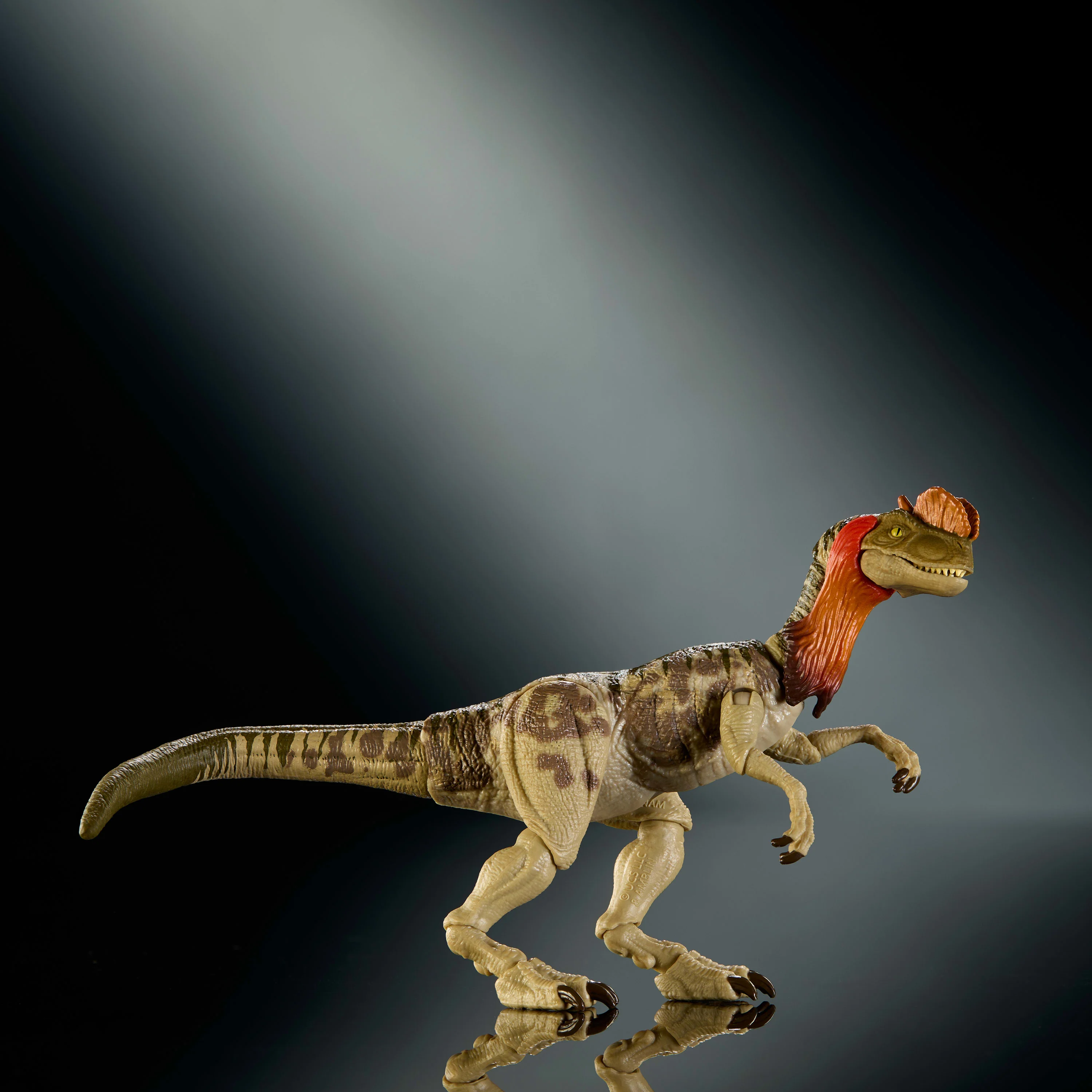 Jurassic World Hammond Collection Dilophosaurus Dinosaur Figure, Deluxe Design And Articulation- Coming Soon - Image 3