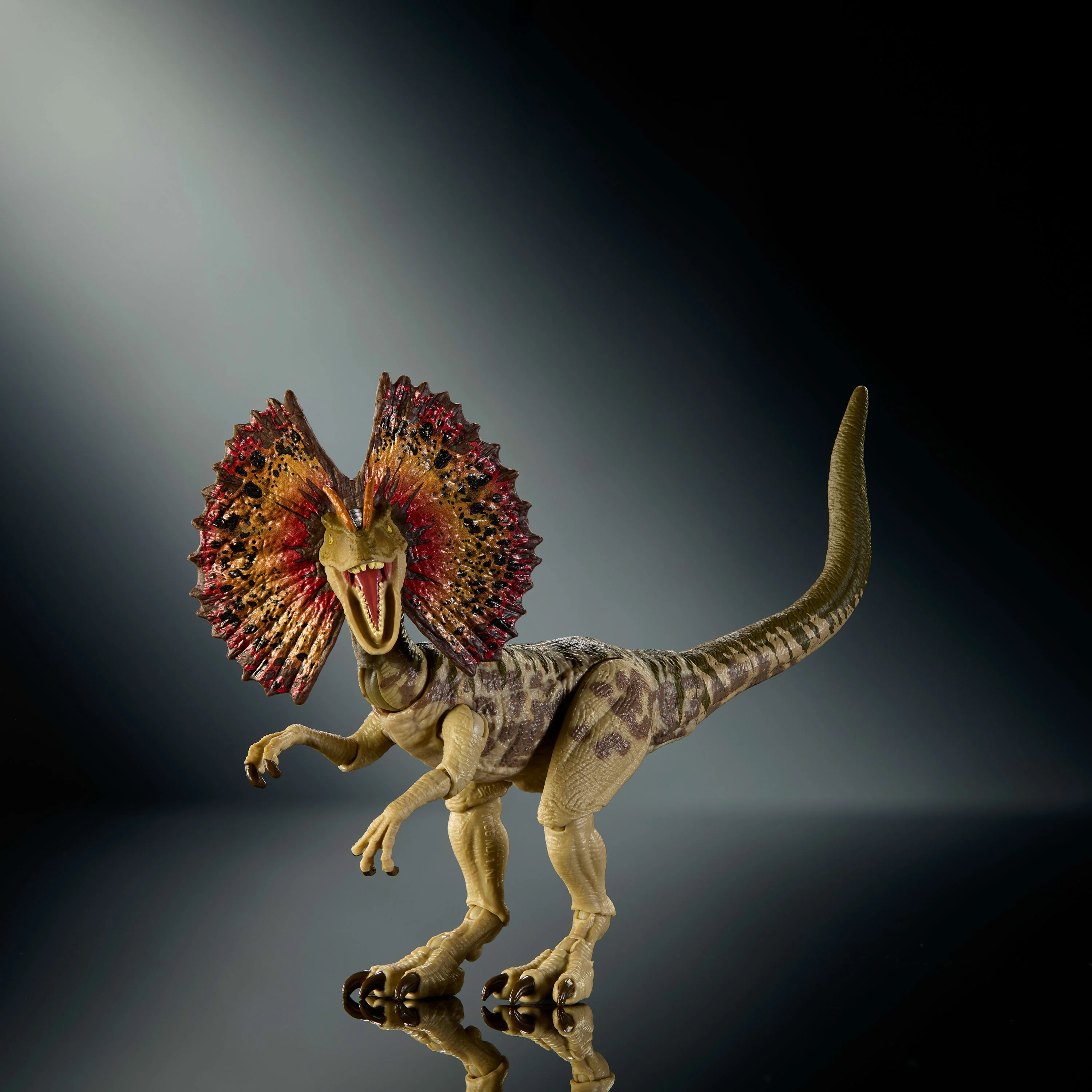 Jurassic World Hammond Collection Dilophosaurus Dinosaur Figure, Deluxe Design And Articulation- Coming Soon - Image 4