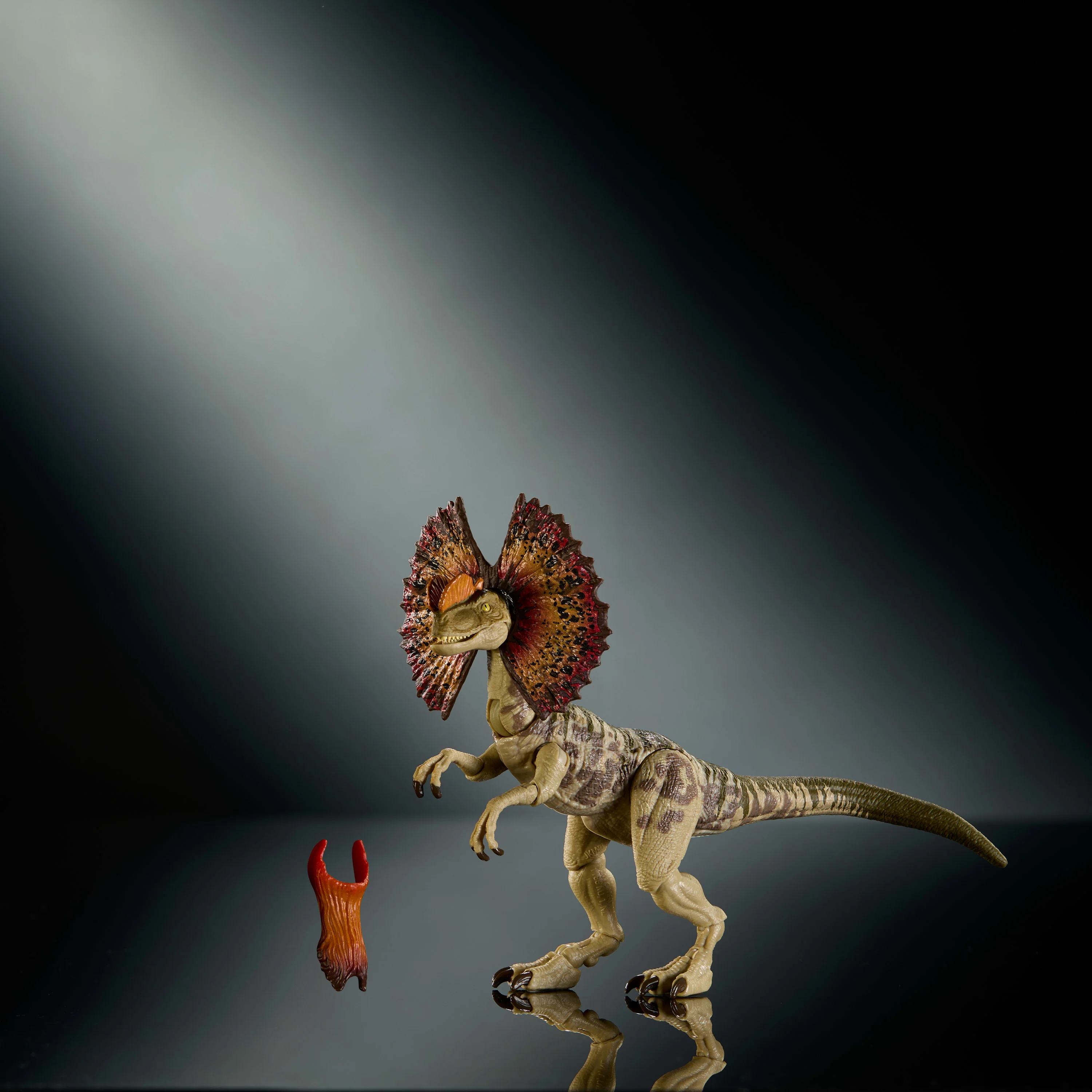 Jurassic World Hammond Collection Dilophosaurus Dinosaur Figure, Deluxe Design And Articulation- Coming Soon - Image 5