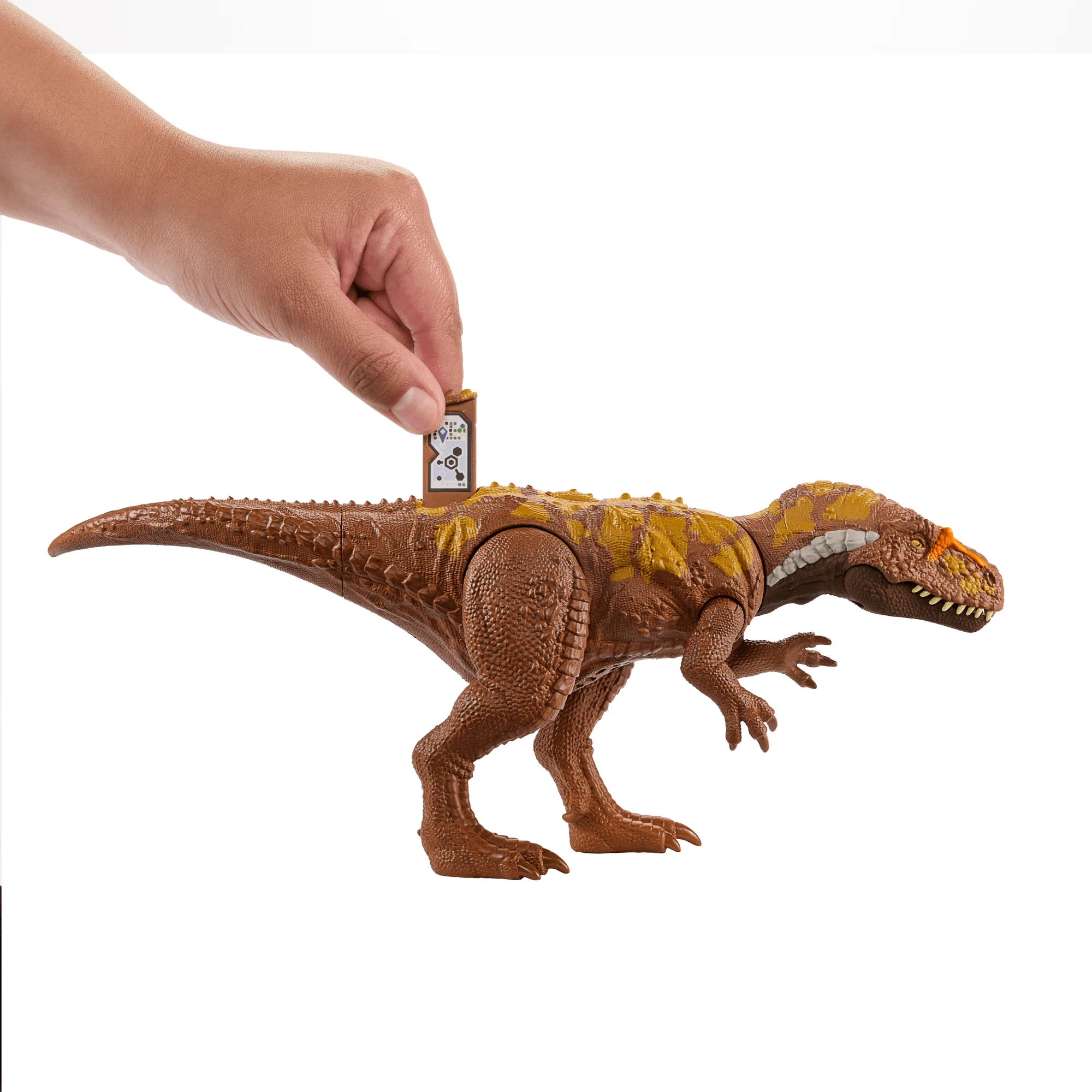 Jurassic World Wild Roar Dinosaur, MEGAlosaurus Action Figure Toy With Sound - Image 4